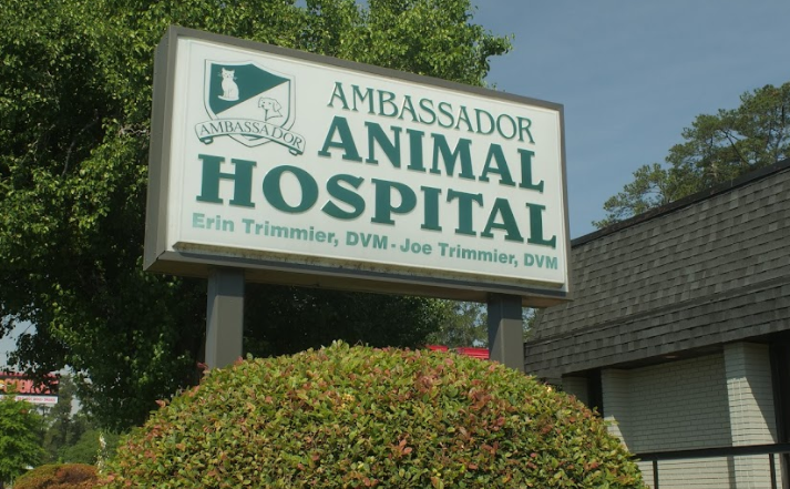Hospital de animales embajador